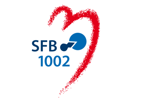 SFB 1002